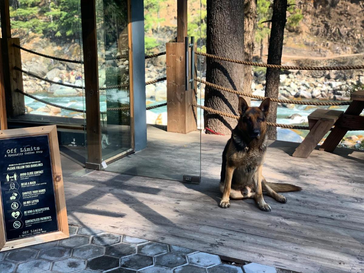 The Alpine Guest House Kasol Εξωτερικό φωτογραφία