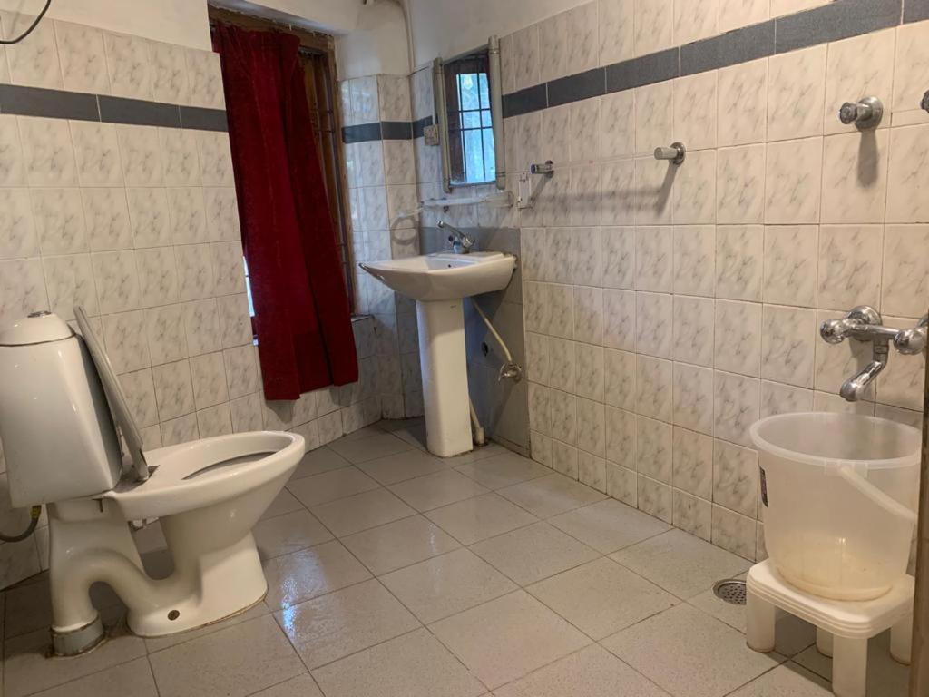 The Alpine Guest House Kasol Εξωτερικό φωτογραφία